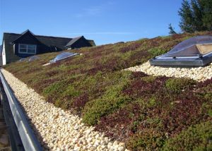 Green Roofing - Permaroof Portsmouth